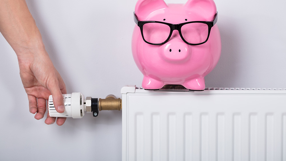 Power Flush or Chemical Flush